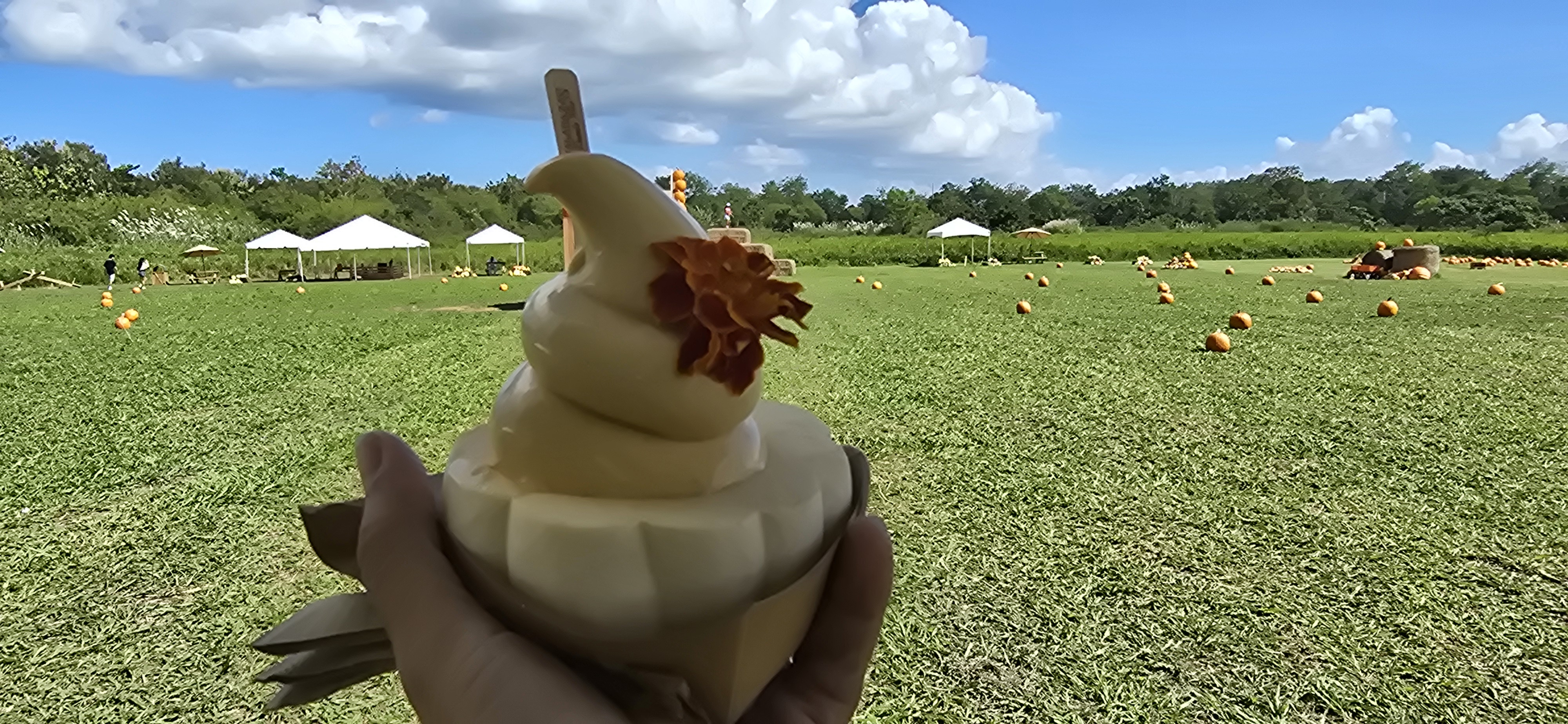 Arco de calabazas — Calabazas PR Fest, Finca Pastoreo, Dorado