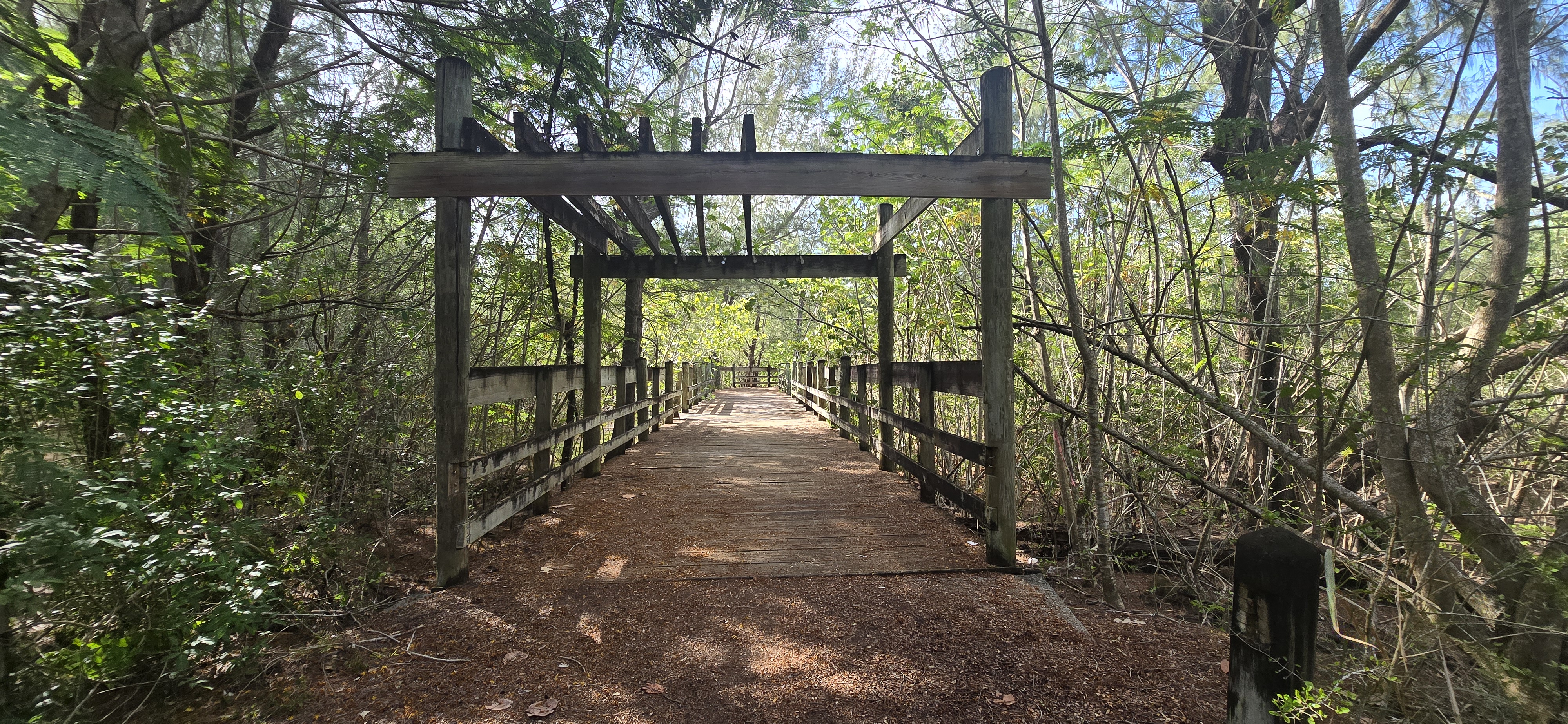 Sección interior del Paseo Lineal de Loíza Puerto Rico con puente de madera rodeado de vegetación y árboles