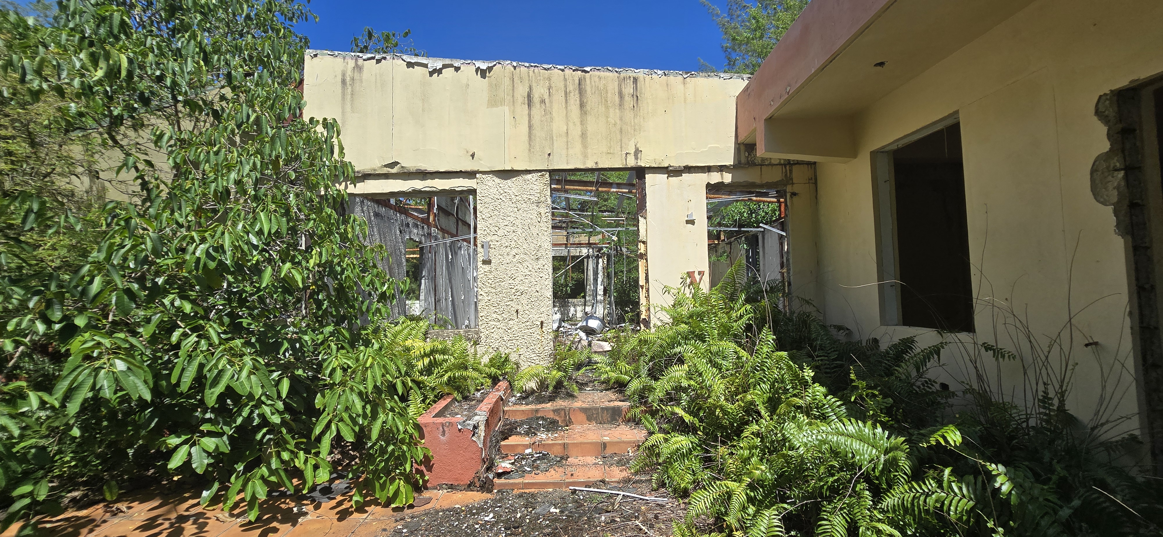 Entrada con escalones de ladrillo del Centro Vacacional de Loíza con palmas ornamentales ahora salvajes