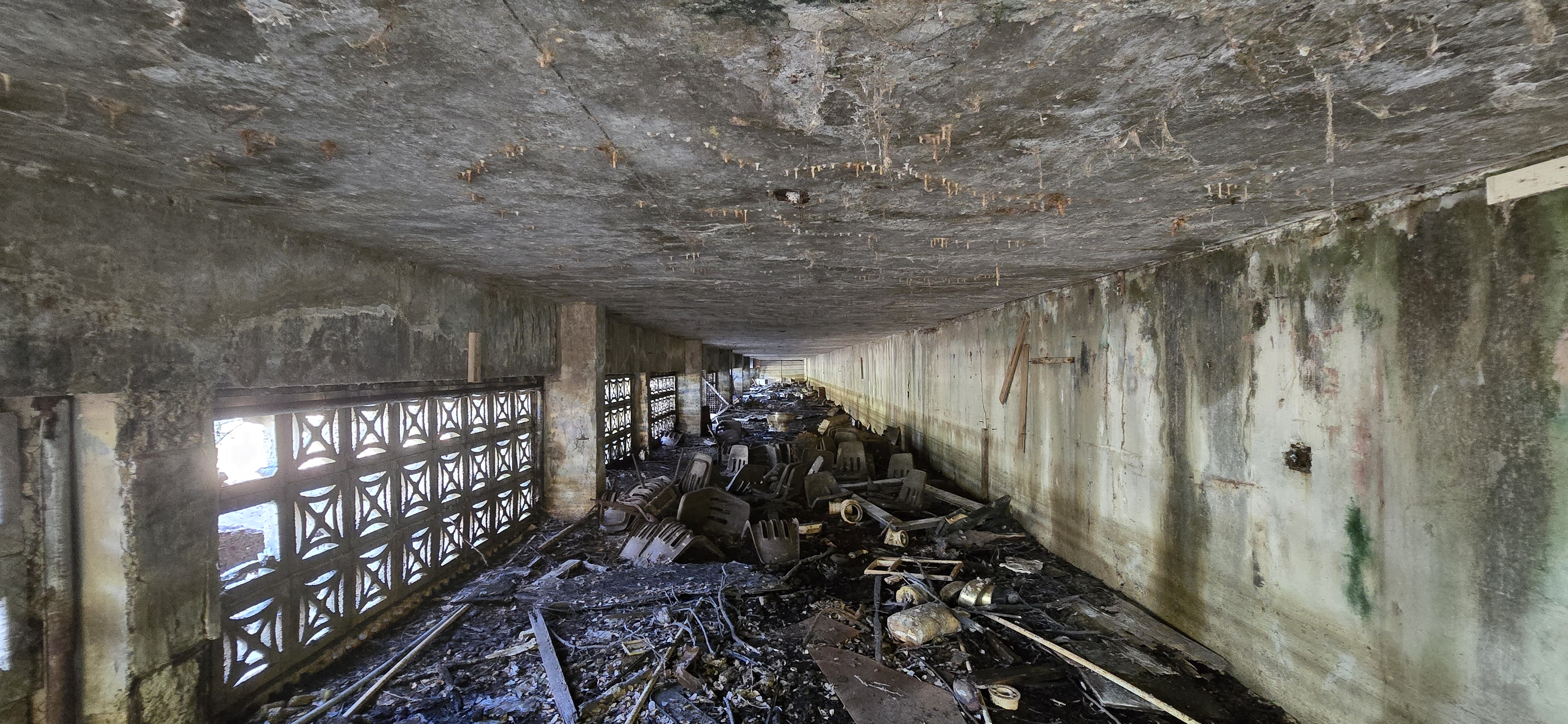 Salón principal del Centro Vacacional de Loíza con estructura metálica expuesta y vegetación creciendo adentro tras más de 10 años de abandono
